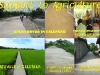 Support to Agriculture