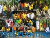 Tree Planting