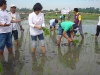 Agricultural Project 2011 (14)