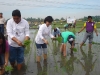 Agricultural Project 2011 (16)