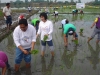 Agricultural Project 2011 (17)