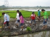 Agricultural Project 2011 (23)