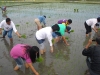 Agricultural Project 2011 (4)