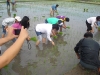 Agricultural Project 2011 (7)