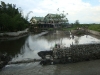 Macalong small water impounding (9)