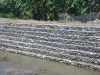 small water impounding project (3)