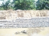 small water impounding project (4)