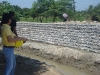 support to agriculture (3)