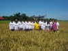 support to agriculture (32)