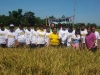 support to agriculture (33)