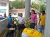 tree planting (17)