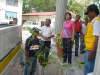 tree planting (18)