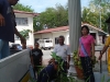 tree planting (19)
