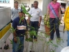 tree planting (20)