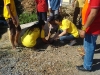 tree planting (22)