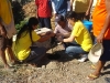 tree planting (23)