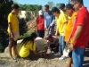 tree planting (24)