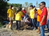 tree planting (25)