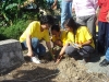 tree planting (26)