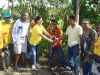 tree planting (28)