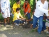 tree planting (29)