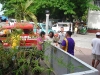 tree planting (3)