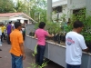 tree planting (7)