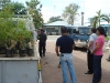 tree planting (8)