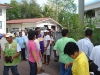 tree planting